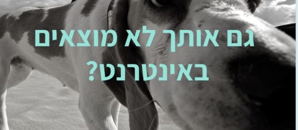 גם אותך לא מוצאים באינטרנט גם אותך לא מוצאים באינטרנט